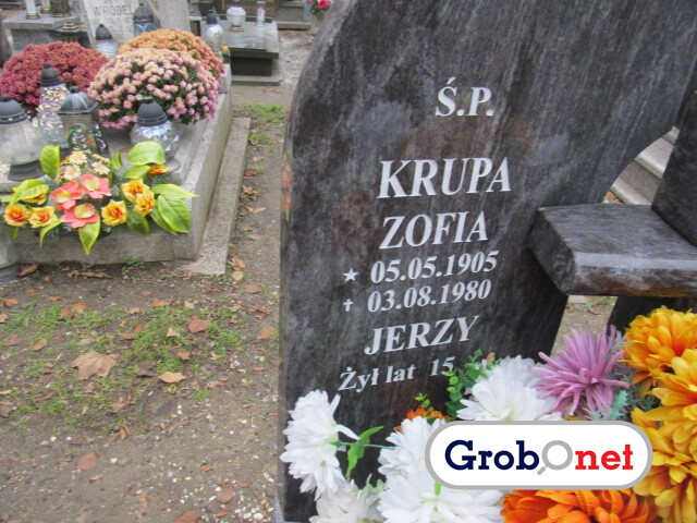 Zofia Krupa 1905 Księże Małe - Grobonet - Wyszukiwarka osób pochowanych