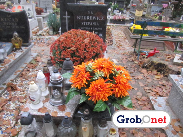 Grób Czesław Budrewicz